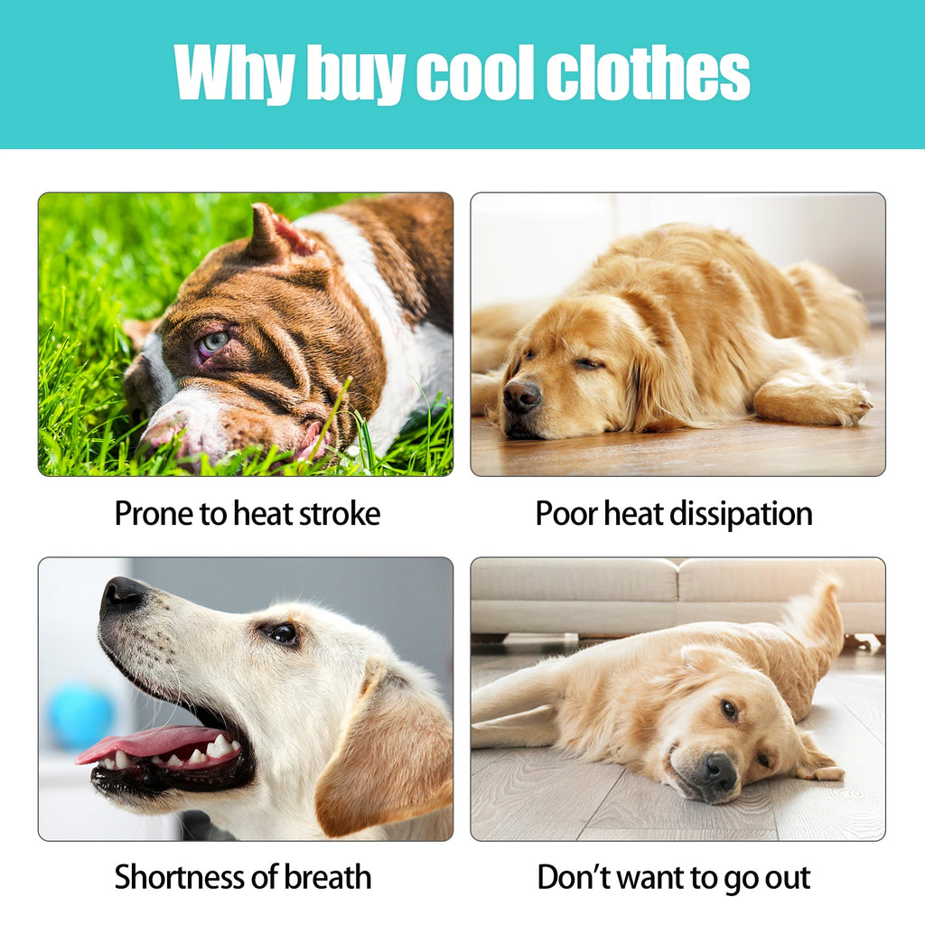 Cooling Vest for Dogs — Breathable Summer Jacket