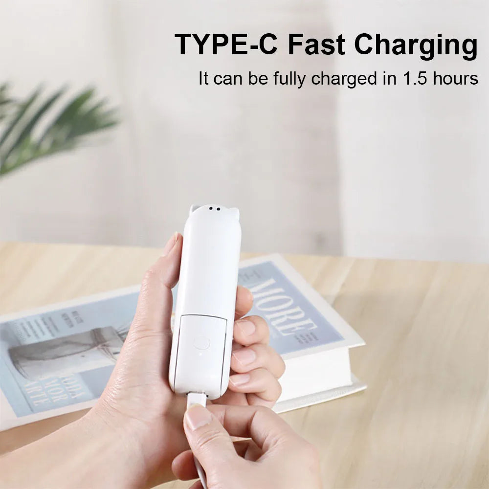 Raugee 2-in-1 Portable Fan & Power Bank