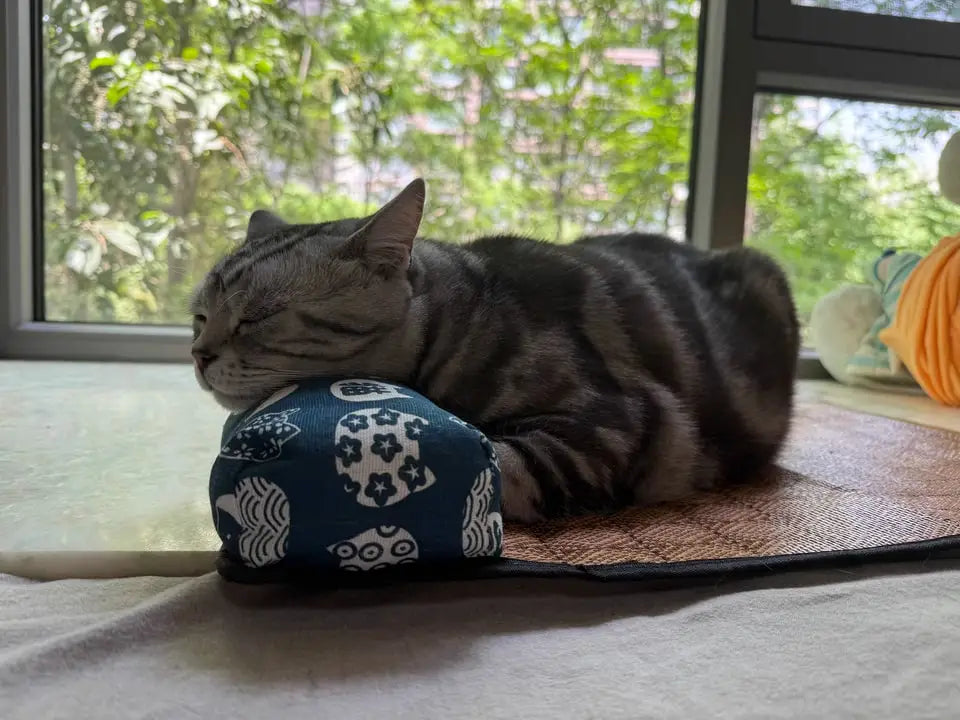 Natural Rattan Weave Cooling Mat for Cats & Dogs