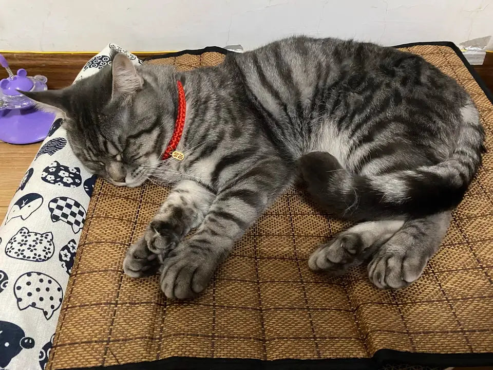 Natural Rattan Weave Cooling Mat for Cats & Dogs