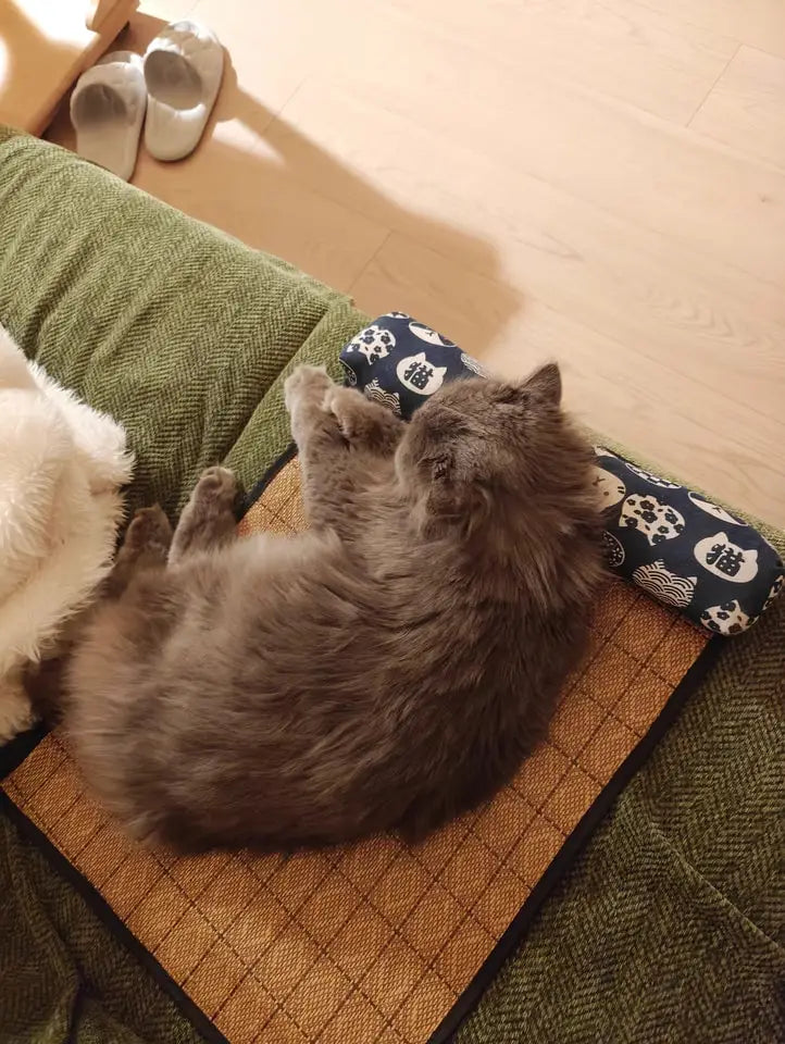 Natural Rattan Weave Cooling Mat for Cats & Dogs
