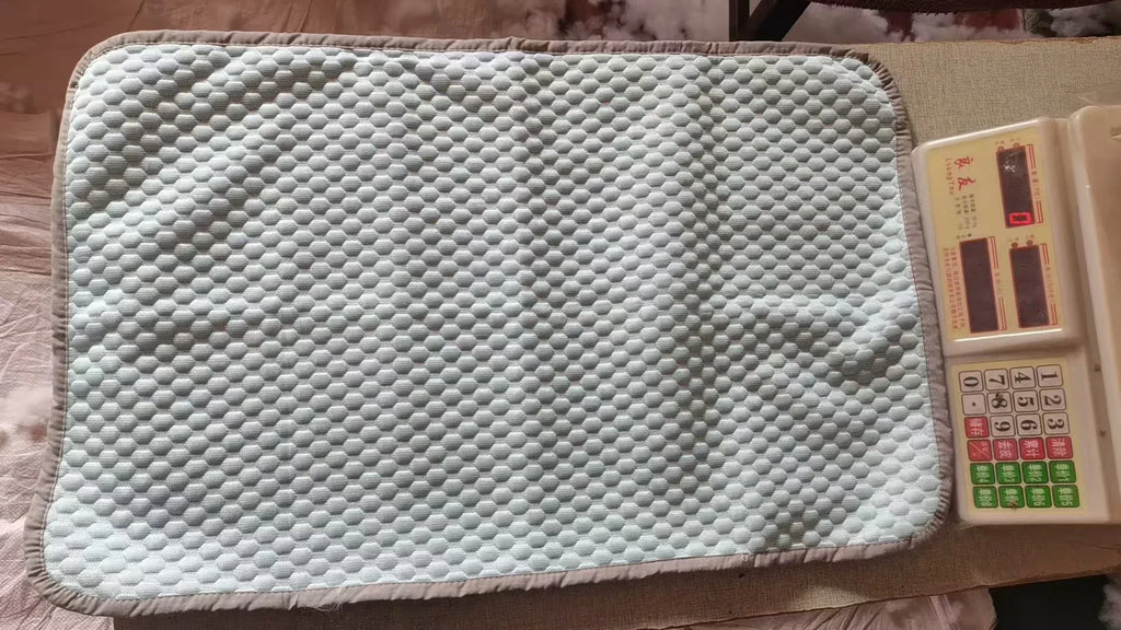 Cooling Bean Pillowcase — Summer Ice Feel Cover