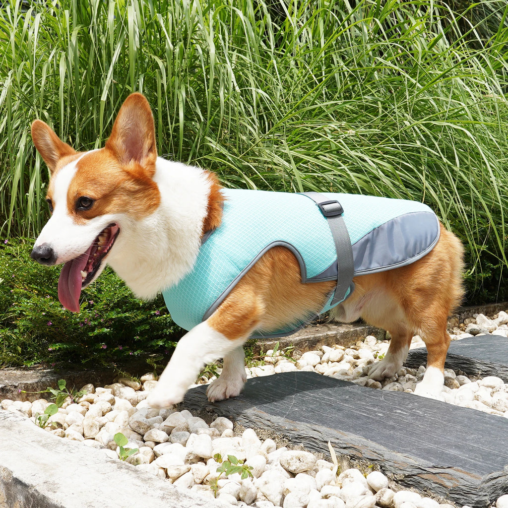 Cooling Vest for Dogs — Breathable Summer Jacket