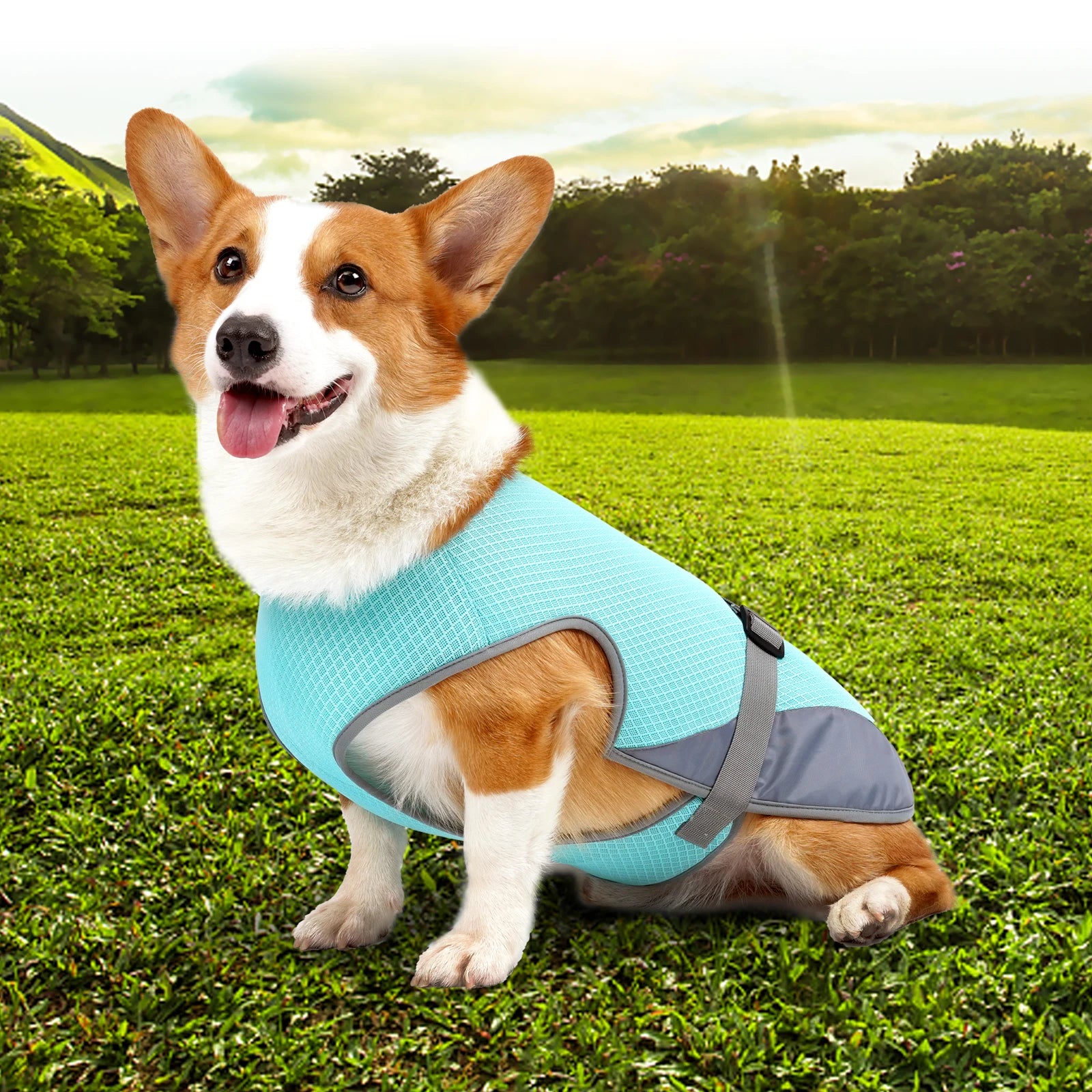 Cooling Vest for Dogs — Breathable Summer Jacket