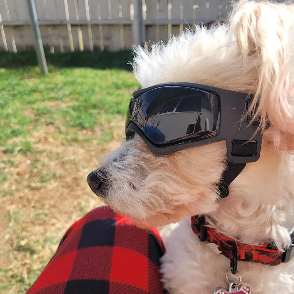 Ouliluye UV Protective Goggles for Dogs