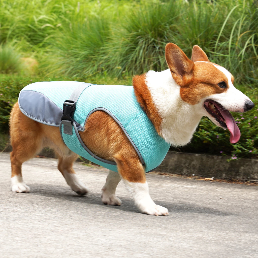 Cooling Vest for Dogs — Breathable Summer Jacket