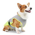 Cooling Vest for Dogs — Breathable Summer Jacket