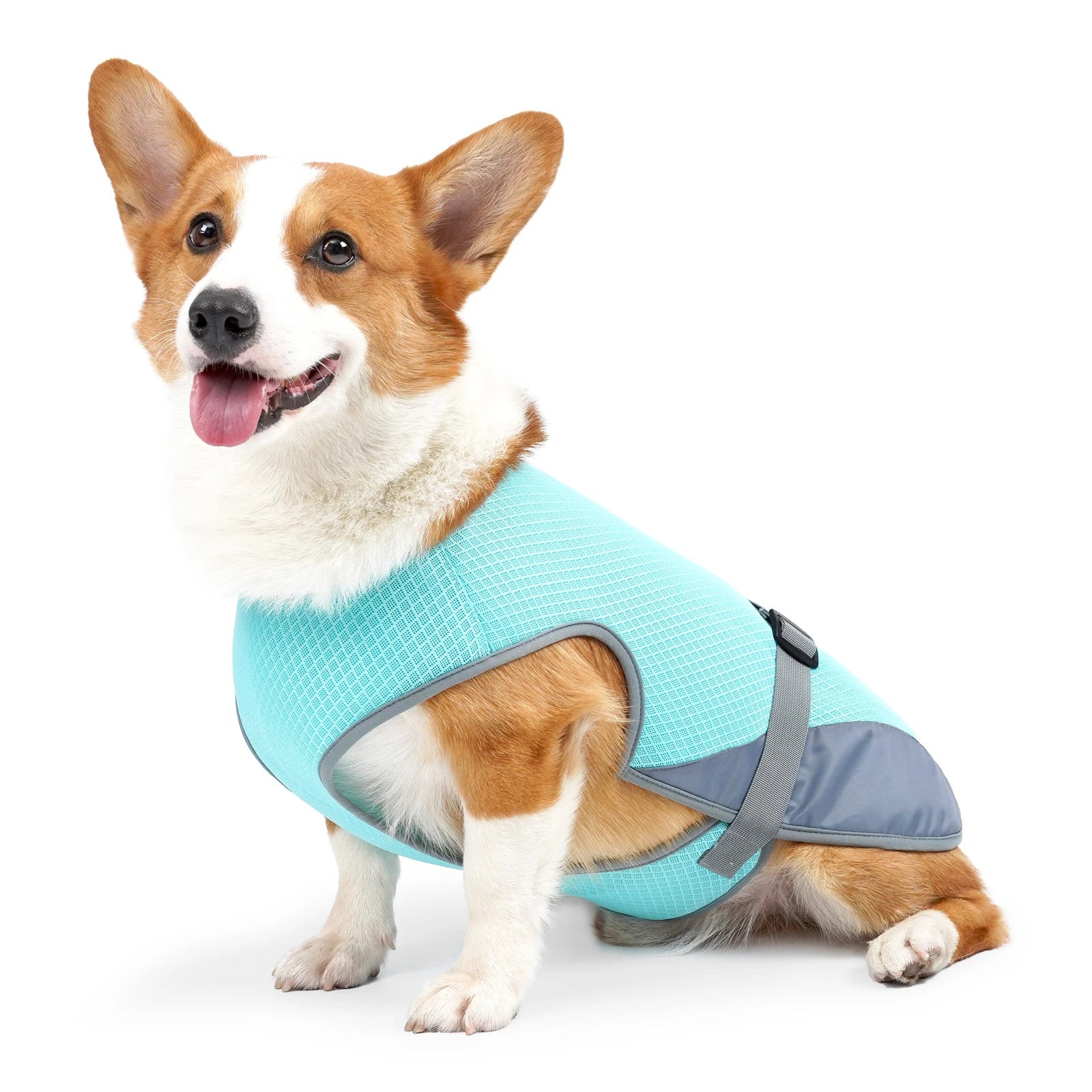 Cooling Vest for Dogs — Breathable Summer Jacket
