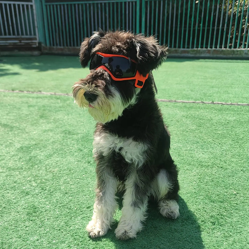 Ouliluye UV Protective Goggles for Dogs
