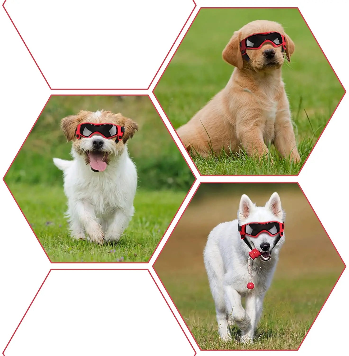 Ouliluye UV Protective Goggles for Dogs